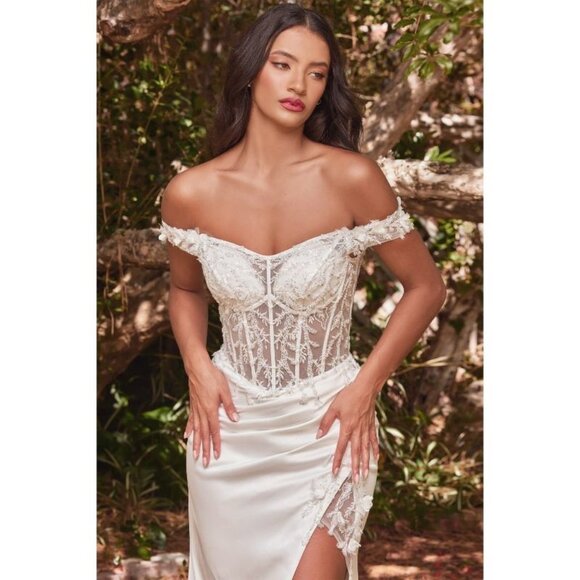 Cinderella OFF THE SHOULDER LACE BODICE FITTED GOWN Multi Sizes CD0186W - Picture 3 of 4
